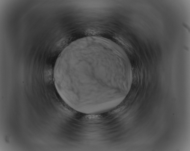 X0000091360526200709071306