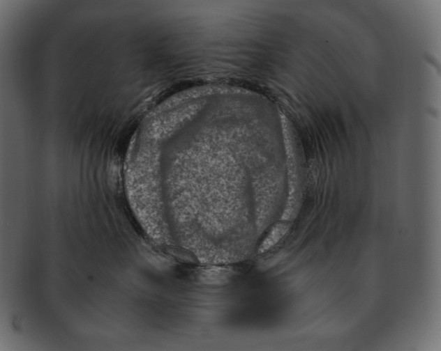 X0000091360527200709071306