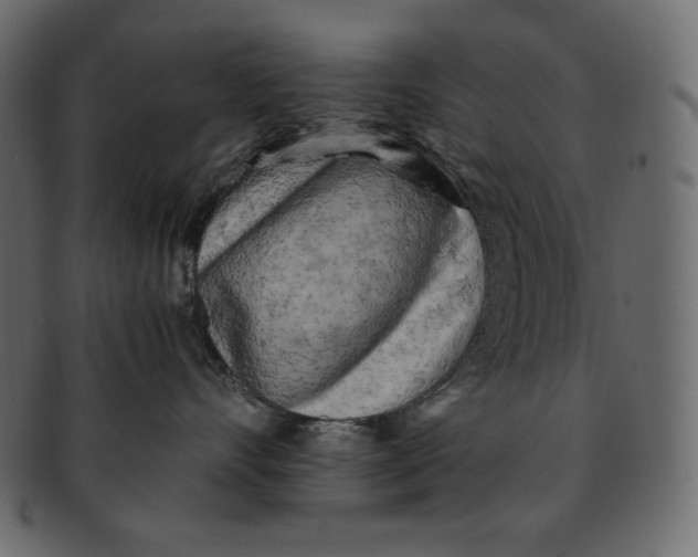 X0000091360528200709071306