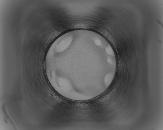 X0000091360529200709071305