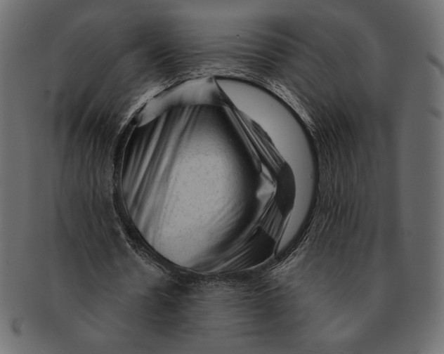 X0000091360530200709071305