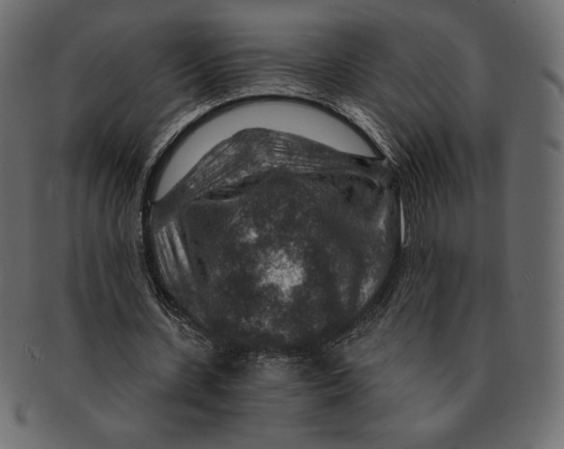 X0000091360531200709071305