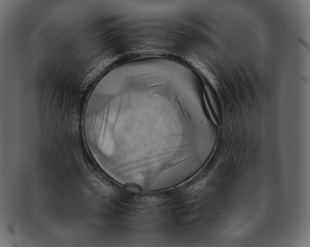 X0000091360533200709071305