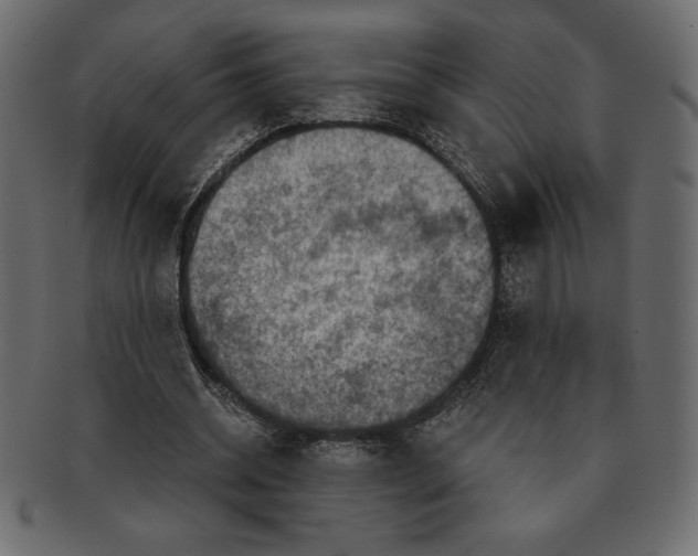 X0000091360534200709071305