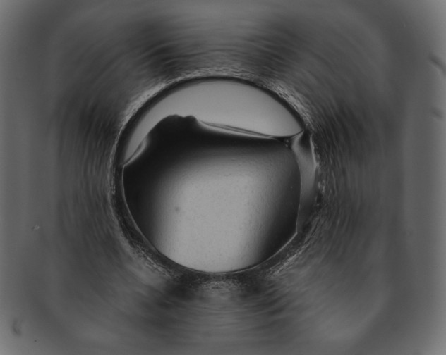 X0000091360536200709071305