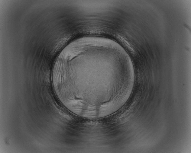 X0000091360537200709071305