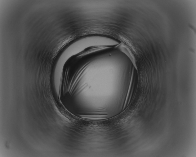 X0000091360538200709071305