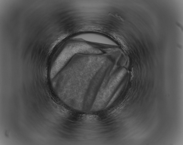 X0000091360539200709071305