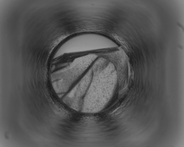 X0000091360540200709071305