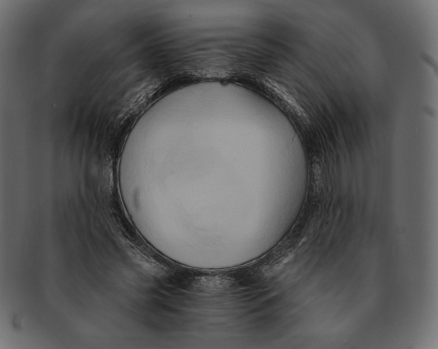 X0000091360541200709071305