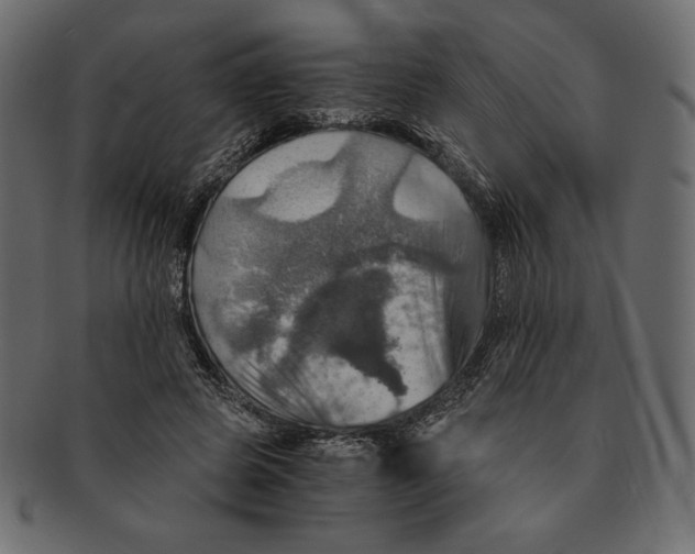 X0000091360545200709071305