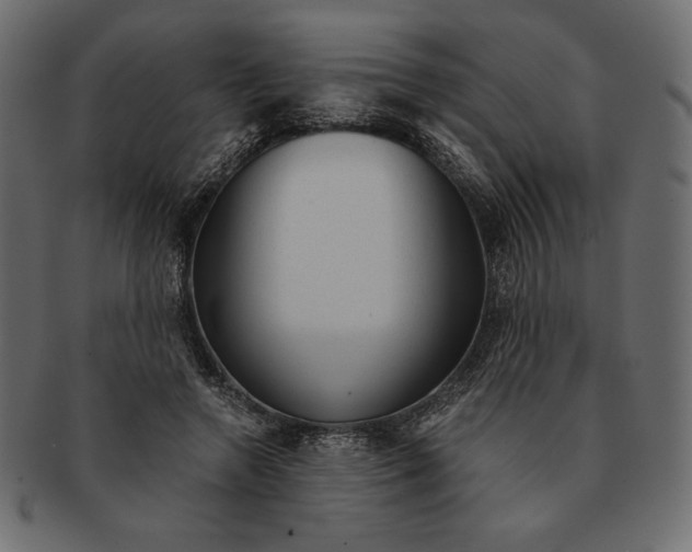 X0000091360546200709071305