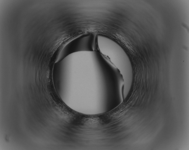 X0000091360548200709071305