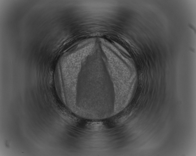 X0000091360554200709071305