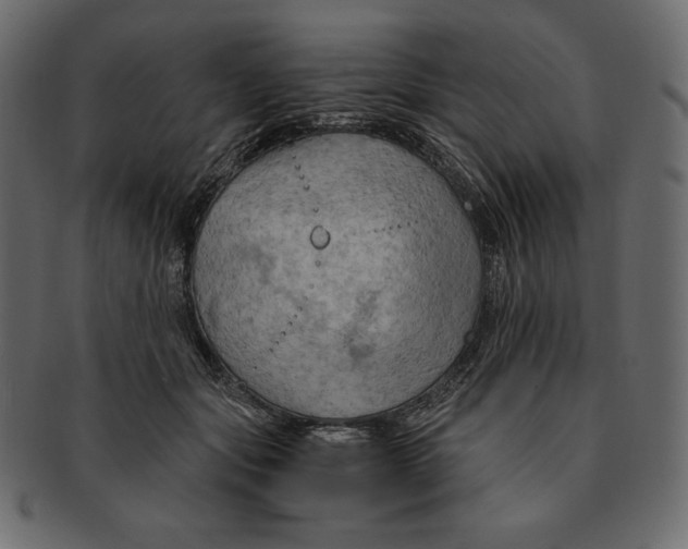 X0000091360557200709071306