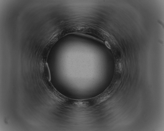 X0000091360558200709071306