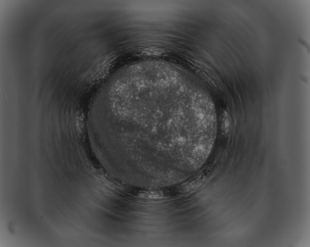 X0000091360559200709071306