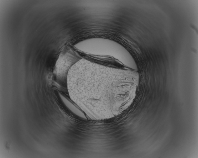 X0000091360560200709071306