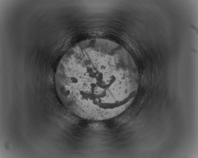 X0000091360561200709071306