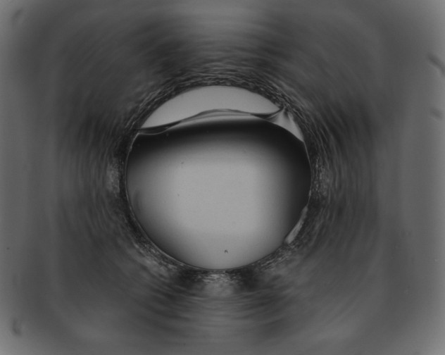 X0000091360562200709071306