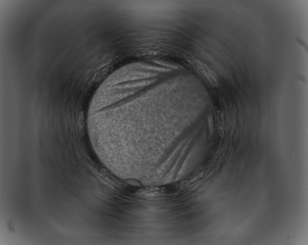 X0000091360563200709071306