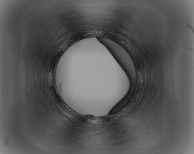 X0000091360564200709071306