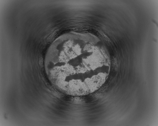 X0000091360565200709071306