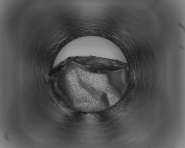 X0000091360566200709071306