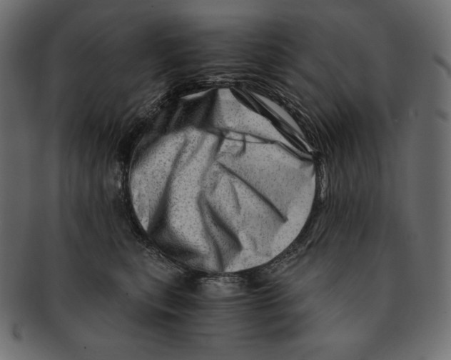 X0000091360567200709071306