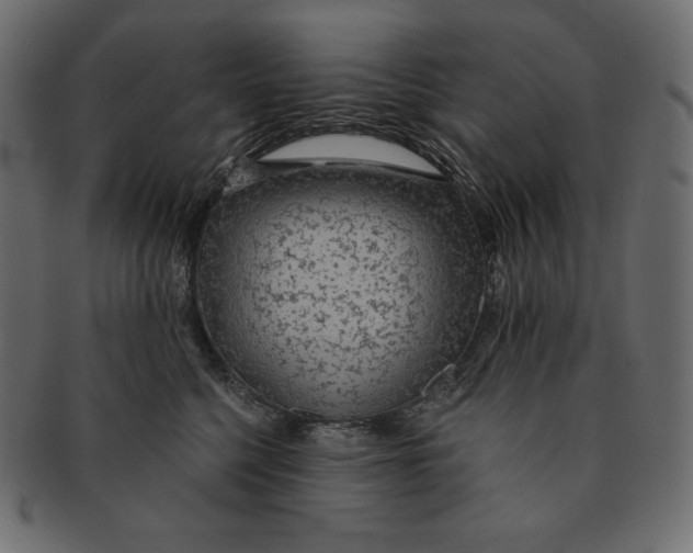 X0000091360568200709071306