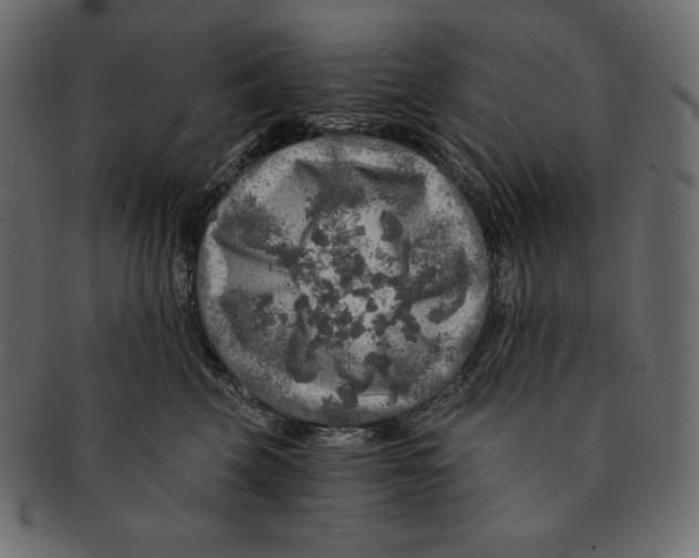 X0000091360569200709071306