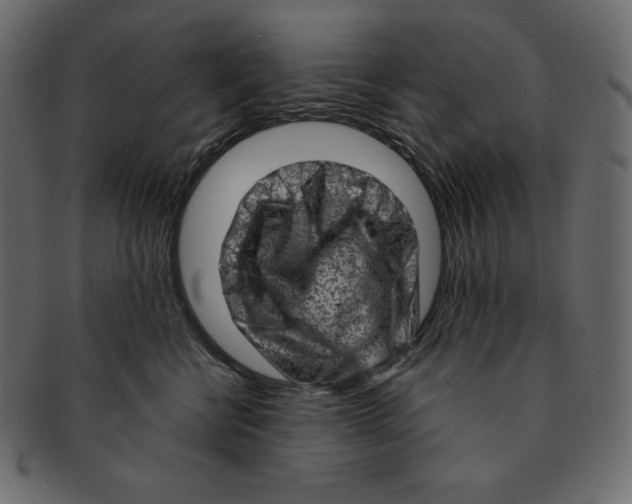 X0000091360570200709071306