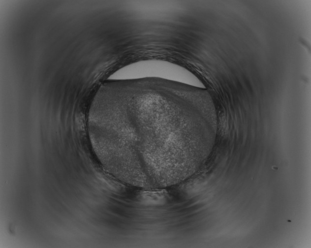 X0000091360571200709071306