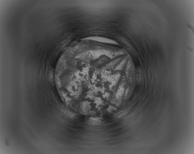 X0000091360573200709071306