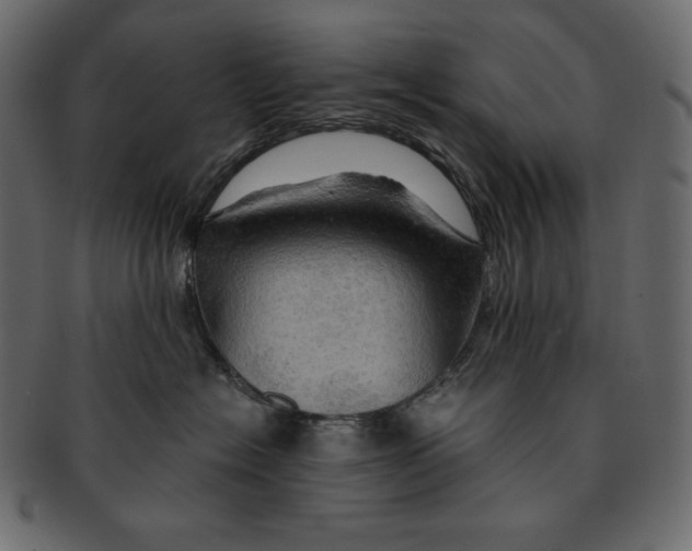 X0000091360574200709071306