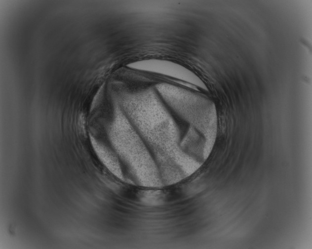 X0000091360575200709071306