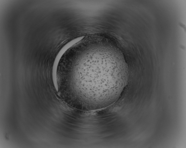 X0000091360576200709071306