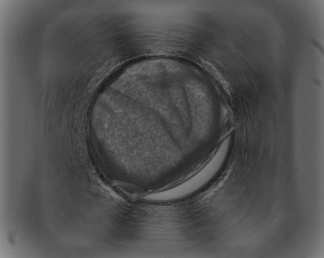 X0000091360577200709071305