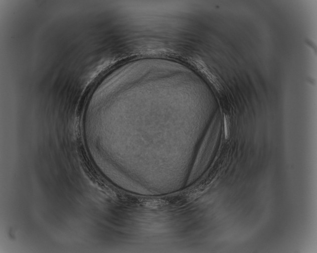 X0000091360579200709071305