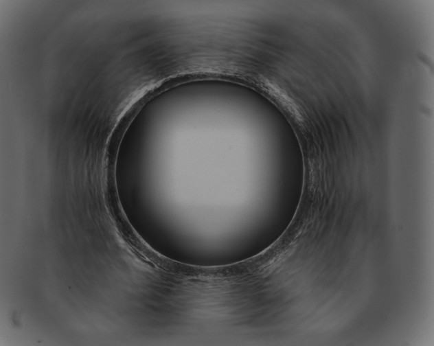 X0000091360580200709071305