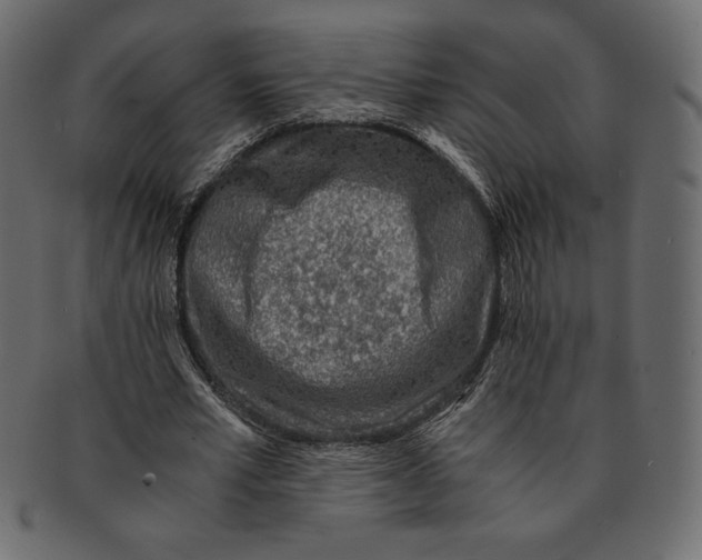 X0000091360581200709071305