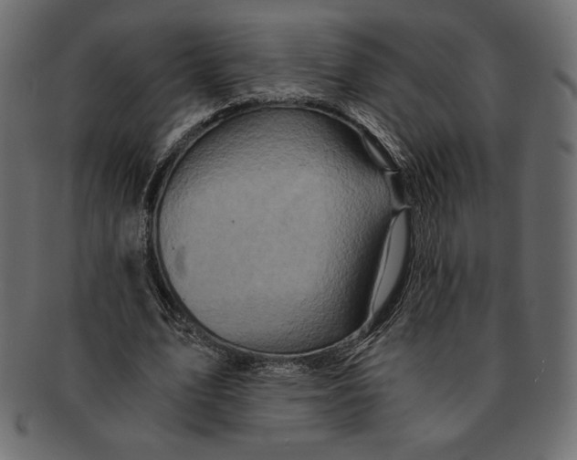 X0000091360583200709071305