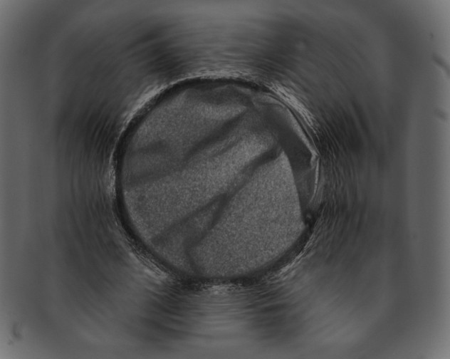 X0000091360584200709071305