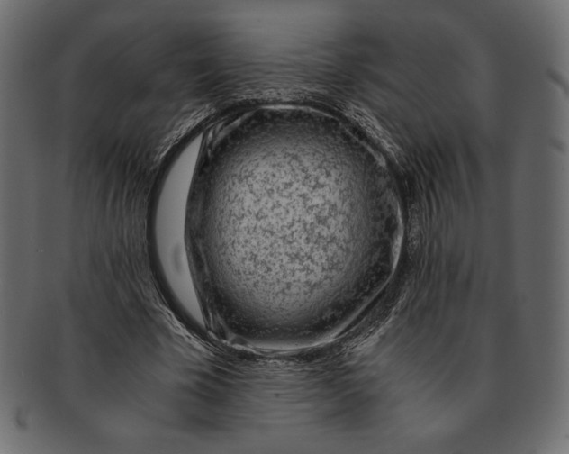 X0000091360585200709071305
