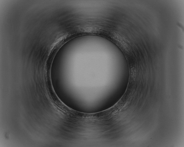 X0000091360587200709071305