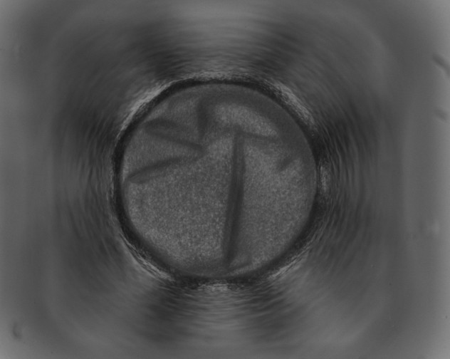 X0000091360588200709071305