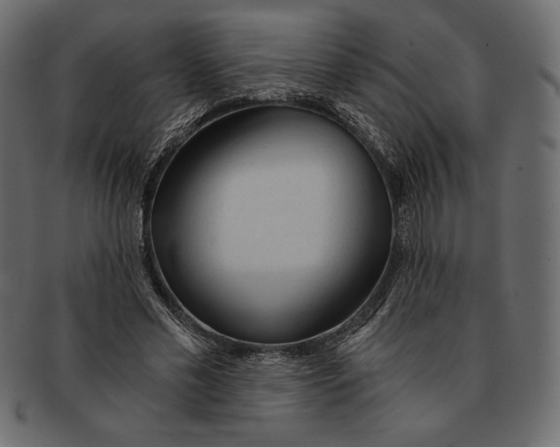 X0000091360589200709071305