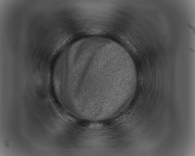 X0000091360591200709071305