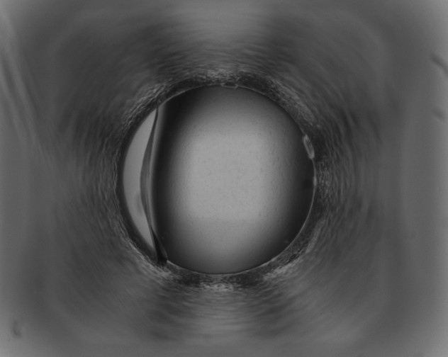 X0000091360593200709071305