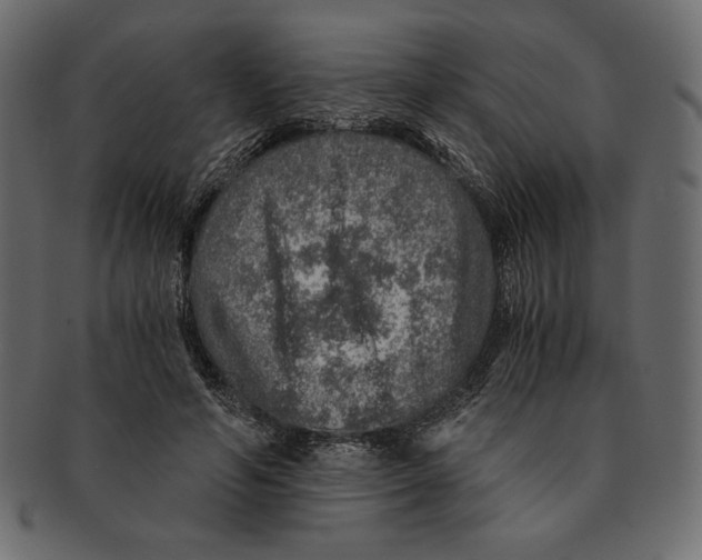 X0000091360594200709071305